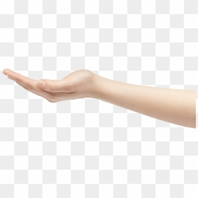 An Outstreatched Hand Holding The Icons Above - Hand Holding Out Transparent, HD Png Download - hand out png