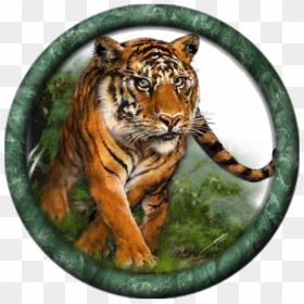 Siberian Tiger, HD Png Download - bengal tiger png