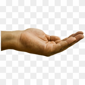 Hand Out To Receive Money - Hand Begging Png, Transparent Png - hand out png