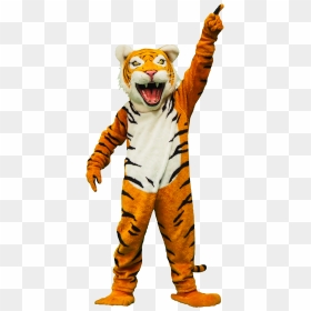 Transparent Tiger Roar Png - Tiger Pointing, Png Download - bengal tiger png