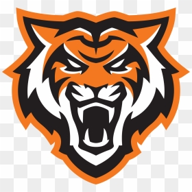 Primary Bengal Logo With Orange Stroke Png - Idaho State Bengals Logo, Transparent Png - bengal tiger png