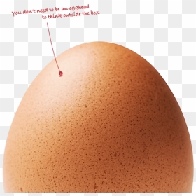 Think Knowledge - Egg, HD Png Download - egg carton png
