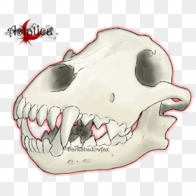 Snout Jaw Mouth Skull Cartoon - Giant Skull Cartoon, HD Png Download - wolf skull png