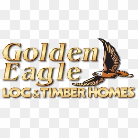 Gold Metallic, HD Png Download - golden eagle png