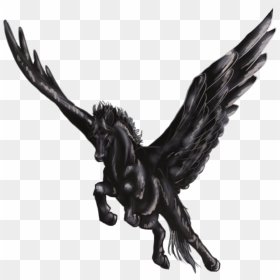 Pegasus Png, Transparent Png - sculptures png