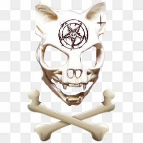 #freetoedit #satan #wolf #skull #bone #wolfskull - Skull, HD Png Download - wolf skull png