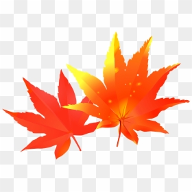 Maple Autumn Leaves Clipart - Autumn Leaf Color, HD Png Download - red maple png