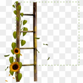 #square #green #frame #ladder #sunflower #flowers #borders, HD Png Download - green frame png
