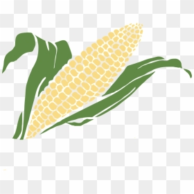 Corn Maize Vegetables - Transparent Background Corn Clipart, HD Png Download - corn clipart png