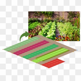 Vegetable Garden, HD Png Download - groundcover png