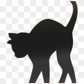 Cat Outline Cliparts - Black Cat, HD Png Download - cat outline png
