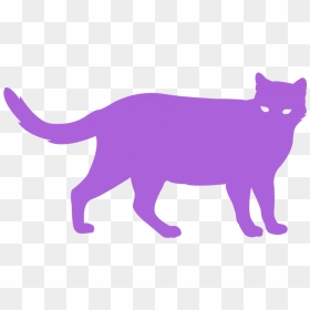 Purple Cat Pictures Free, HD Png Download - cat outline png