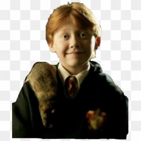 Ronweasley Weasley Red Mouse Harrypotter - Ron Weasley And Scabbers, HD Png Download - ron weasley png