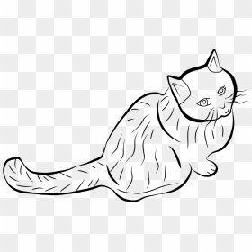 Freetoedit Cat Outline Mydraw Draw Drawing Sketch Mysti - Domestic Short-haired Cat, HD Png Download - cat outline png