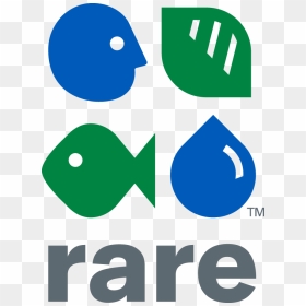 Press Kit Rare Logo - Logo Rare, HD Png Download - 1080p logo png