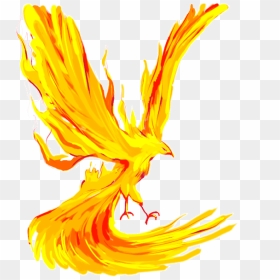 Firebird Drawing Fire - Fire Phoenix Drawing, HD Png Download - talonflame png