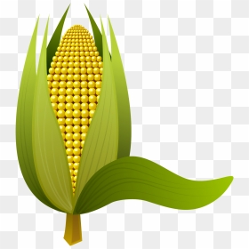Ear Of Corn Clipart 8, - Gambar Jagung Png, Transparent Png - corn clipart png