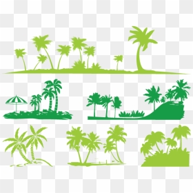 Silhouette Arecaceae Illustration - Silhouette Island Palm Trees, HD Png Download - forest clipart png