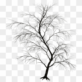 Dark Trees Png, Transparent Png - dark tree png