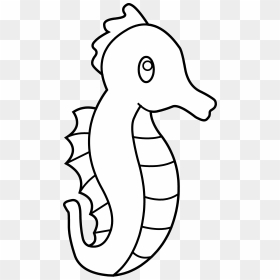 Cute Seahorse Line Art - Sea Horse Drawing Easy, HD Png Download - sea horse png