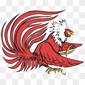 Jacksonville State Gamecocks, HD Png Download - gamecock logo png