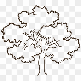 Transparent Tree Clipart Black And White Png, Png Download - dark tree png