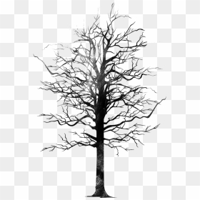 Bird Tree Png Monochrome- - Tree, Transparent Png - vhv