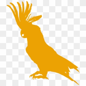 The Cockatoo Bar & Restaurant - Cockatoos, HD Png Download - cockatoo png