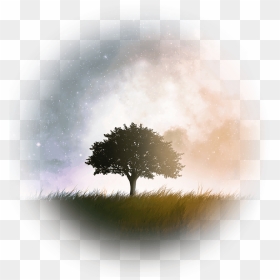 Galaxy Tree Wallpaper Iphone, Hd Png Download - Small Thought For Nature, Transparent Png - dark tree png