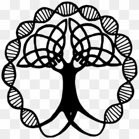 Simbolos Que Representen A La Familia, HD Png Download - celtic tree of life png
