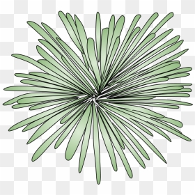 Fireworks, Burst, Style 2, Green - Portable Network Graphics, HD Png Download - white fireworks png