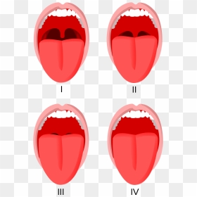 Mallampati Score Full Hd, HD Png Download - lips outline png