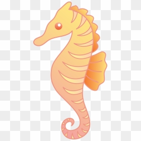 Orange Clipart Seahorse Pencil And In Color - Seahorse Clipart, HD Png Download - sea horse png