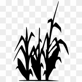 Clipart Black And White Corn Stalks, HD Png Download - corn clipart png