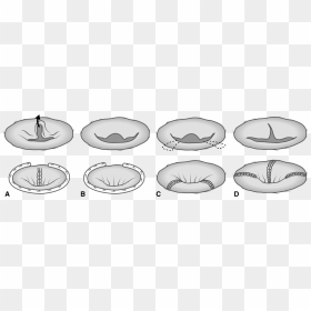 Clip Art, HD Png Download - lips outline png