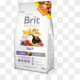 Brit Animals Rat, HD Png Download - rats png