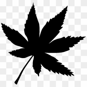 Transparent Marijuana Leaf Clipart - Transparent Pot Leaf Svg, HD Png Download - marijuana leaf vector png
