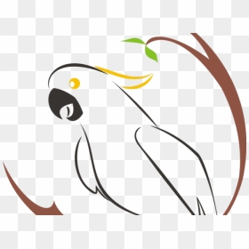 Transparent Bird Clipart - Cockatoo Logo, HD Png Download - cockatoo png