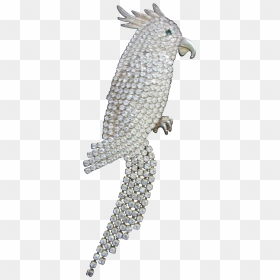 Fish, HD Png Download - cockatoo png