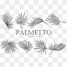 Palmetto Leaves Vector - Line Art, HD Png Download - dandelion vector png