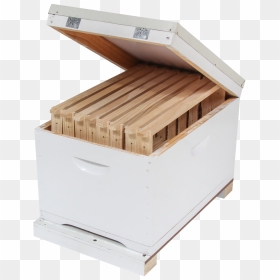Hive Kit Single - Plywood, HD Png Download - supplies png