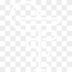 Graphic Design, HD Png Download - healthcare icon png