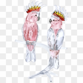 Pink Cockatoos - Swarovski Pink Cockatoo, HD Png Download - cockatoo png