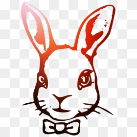 Hare Domestic Illustration Rabbit Easter Bunny Clipart - Easter Bunny Line Drawing, HD Png Download - hare png