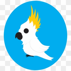 Graphic Transparent Stock Cute Cockatoo By Destiny - Cockatoo, HD Png Download - cockatoo png