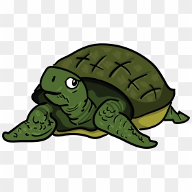 Turtoise Clipart Racing Turtle - Turtles, HD Png Download - hare png