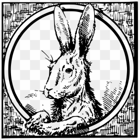 Framed Hare Clip Arts - Engravings, HD Png Download - hare png