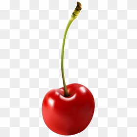 Pin Cherry Clipart Transparen - Transparent Clip Art Cherry Png, Png Download - cherry clipart png