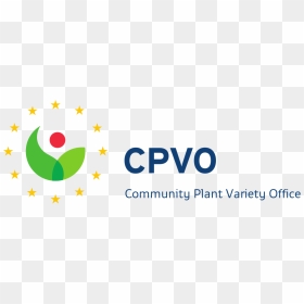 Cpvo Logo, HD Png Download - office plant png