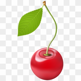 Cherry Clipart Png Image - Cherry, Transparent Png - cherry clipart png